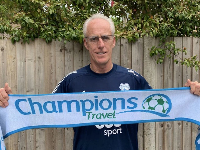 Cardiff City Taps Champions Travel as Official Match‑Break Partner
